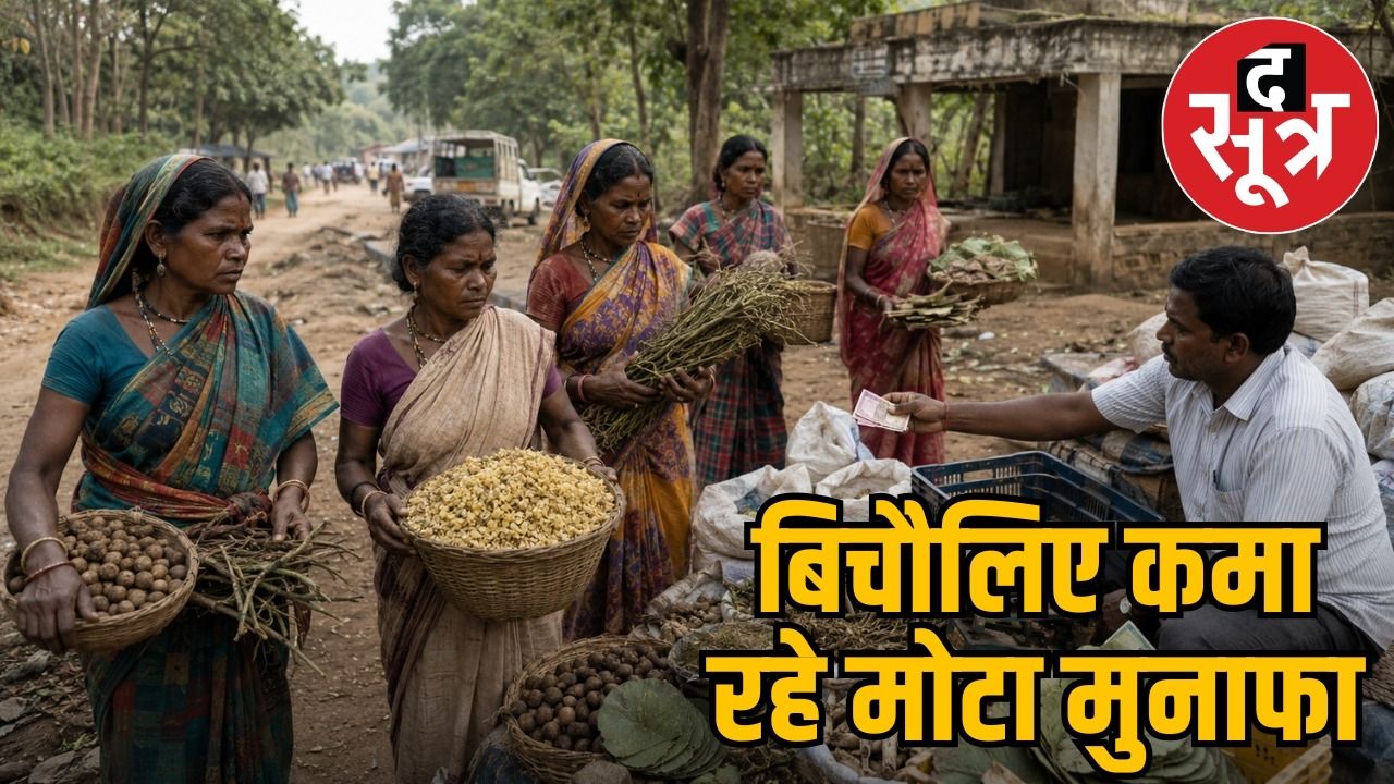आदिवासी महिलाओं की मेहनत पर बिचौलियों का कब्जा,औने पौने दाम में बिक रही जड़ीबूटी 